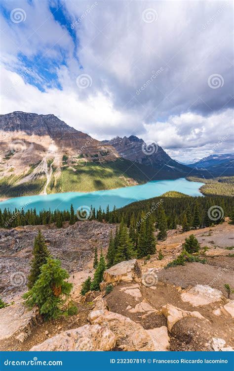 Mountain Landscape With Mount Patterson At Peyto Lake Canada Alberta
