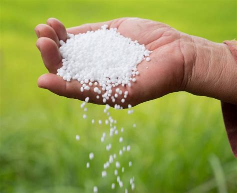 Nano Urea Meant For Farmers To Fulfil Nitrogen Requirement Of The Plant