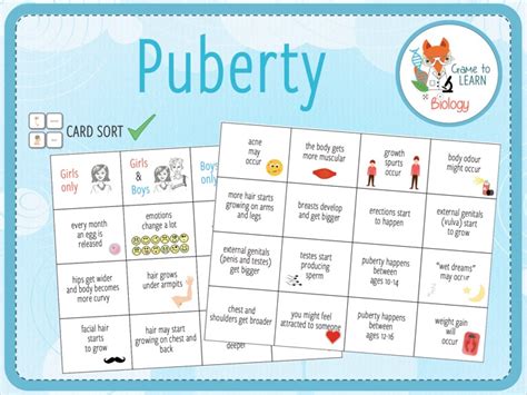 Puberty Girls Card Sort Puberty Girls Sorting Cards Puberty Hot Sex