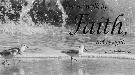 Bible Verse Gallery Farlow Photography
