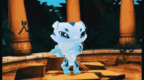 Animal Jam Cat  Animal Jam Cat Dancing Discover And Share S