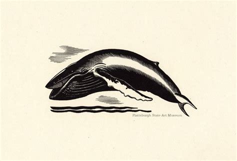 Pin Su Moby Dick By Herman Melville Illustrated By Rockwell Kent 1930
