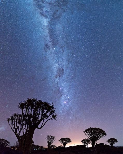 Milky Way Over Quiver Tree Forest Namibia Pics
