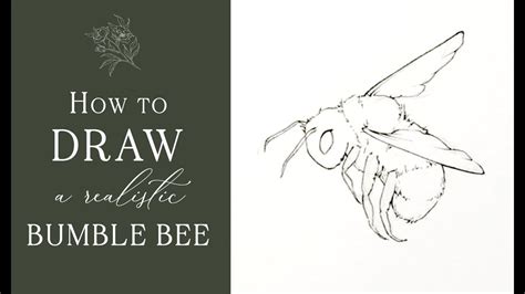 How To Draw A Realistic Bumble Bee Youtube