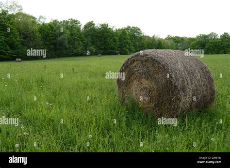 Hay Bale Farming Field Stock Photo Alamy