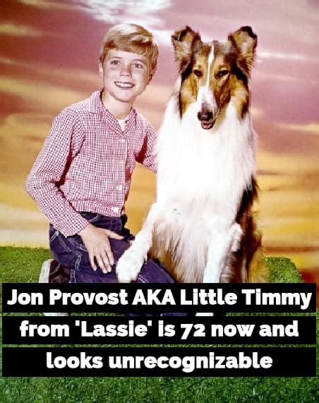 Jon Provost Aka Little Timmy From ‘lassie’ Celebrates His 71st Birthday And He’s Aging Like A