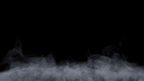 Atmospheric Mystical Floating Fog Realistic Stock Footage Sbv 338582502
