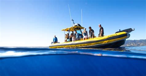 North Shore Oahu Snorkeling Tour Musement