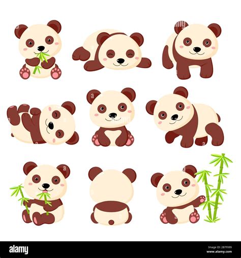 Set Of Cute Cartoon Panda In Various Poses Isolated On White