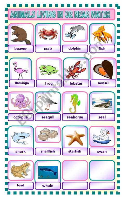 Animals Living In Or Near Water Esl Worksheet By Catyli