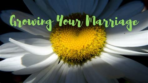Growing Your Marriage Mm 287 Marriage Missions International