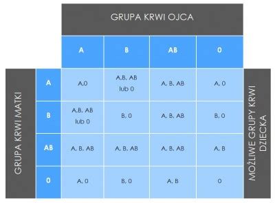 Ustalenie Ojcostwa Na Podstawie Grup Krwi