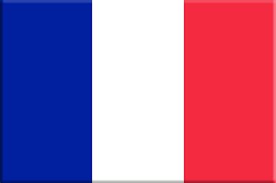 Especialmente indicada para utilización exterior. Bandera de Francia - Simbología del Mundo