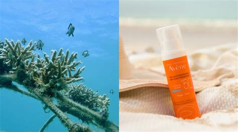 Skin Protect Ocean Respect A Key Commitment Eau Thermale Avène