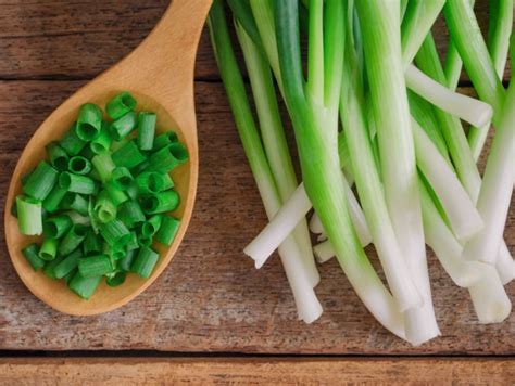 Learn about them in this great article with all you need to know to in short, green onion is just the same as a scallion. Scallions Vs. Green Onions Vs. Chives Vs. Spring Onions ...