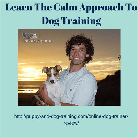 What is puppy training and why is it so important? Online Dog Trainer Review | Puppy and Dog Training