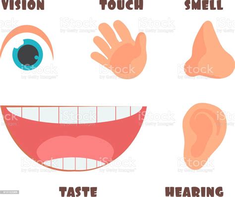 인간의 감각 만화와 눈 코 귀 손과 입 기호 벡터 아이콘 개념에 대한 스톡 벡터 아트 및 기타 이미지 Istock