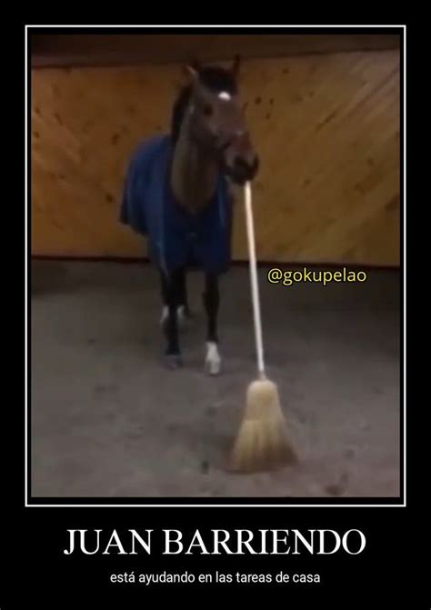 Gracioso Orslokx Juan Meme Funny Memes Inspirational Horse Quotes