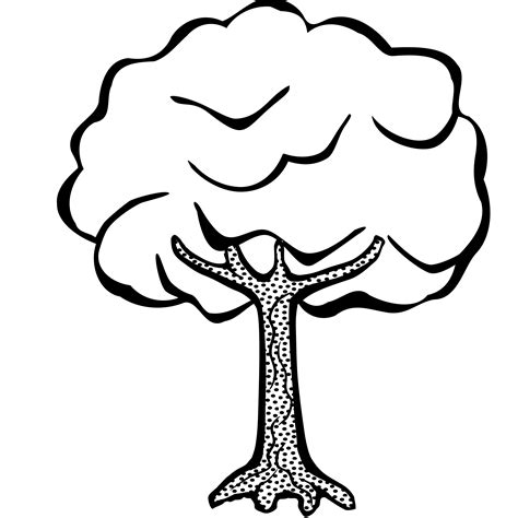 Cartoon Tree Clip Art Black And White Fog Imagesee