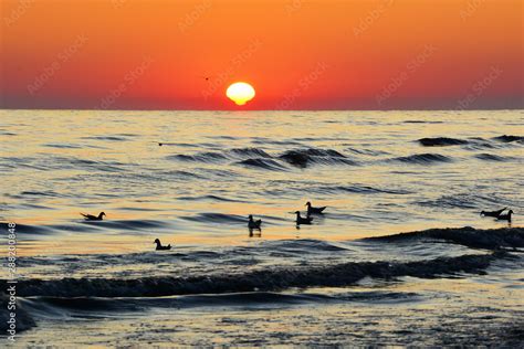 Piękny Wschód Słońca Nad Morzem Ptaki Foto De Stock Adobe Stock