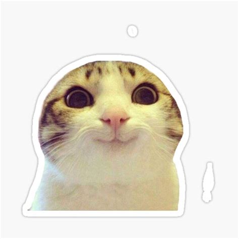 Cute Funny Cat Memes Sticker For Sale By Pusla Redbubble