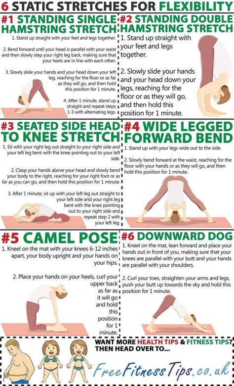 21 static stretching for flexibility 22 stretching exercises infographics for better flexibility