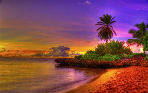 Free Download Tropical Beach Hd Wallpaper Tropical Beach Images