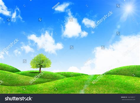 Green Grass And Tree With Bright Blue Sky Stock Photo