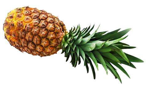 Pineapple PNG Image - PurePNG | Free transparent CC0 PNG Image Library