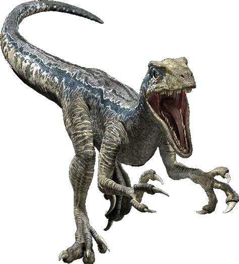 Download Even If The Movie Is Out For A While We Still Find Velociraptor Jurassic World