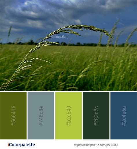 Color Palette Ideas From 3434 Grass Images Icolorpalette Colours