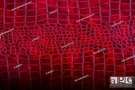 Closeup Detail Of The Snake Skin Leather Stock Photo Picture And Low