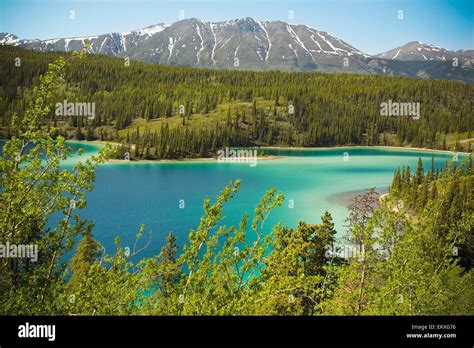 Emerald Lake Yukon Territory Canada Stock Photo Alamy
