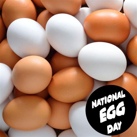 National Egg Day June 3 2020 National Egg Day Eggs Day
