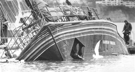 Greenpeace Ship Sunk Whale Wars How Was The Sea Shepherds New Ship