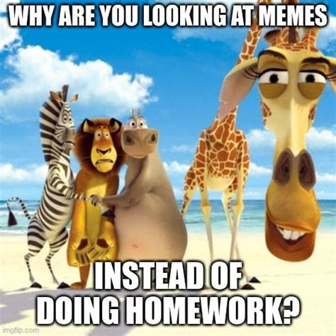 Why Are You Looking At Memes Instead Of Doing Your Homework Melman