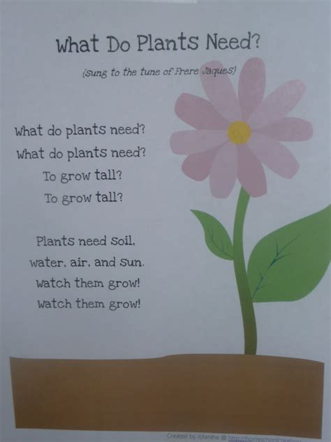 Plants Poems