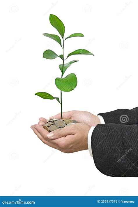 Investing Money In Environment Stock Photo Image Of Carbon Growing