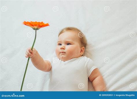 Beautiful Baby Holding A Flower On White Background Stock Image Image