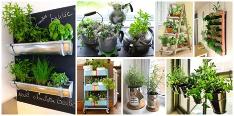15 Incredible Ideas For Indoor Herb Garden