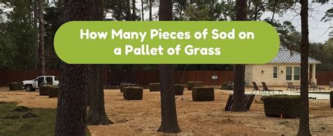 Zoysia sod costs $0.62 to $0.85 per square foot. How Many Pieces of Sod on a Pallet of Grass - Houston Sugar Land