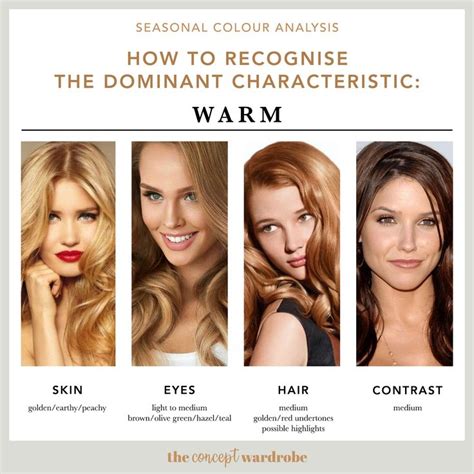 Dominant Characteristic Warm Skin Tone Hair Color Warm Skin Tone