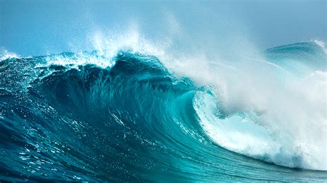 Mathematical tools predict if wave-energy devices stay afloat in the ocean | Texas A&M ...