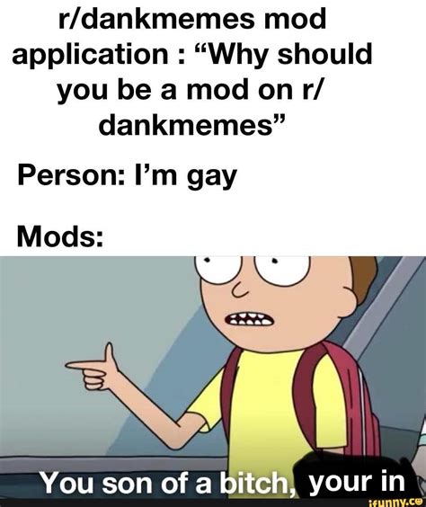 Rdankmemes Mod Application Why Should Dankmemes Person Im Gay Mods