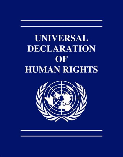 Universal Declaration Of Human Rights Global Feminist Journeys