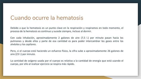 Proceso De Hematosis Resumen Ripo