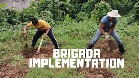 Gpp And Brigada Eskwela Implementation Snhs Youtube