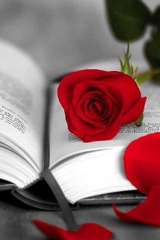 El origen de regalar una rosa y un libro el día de Sant Jordi vídeo