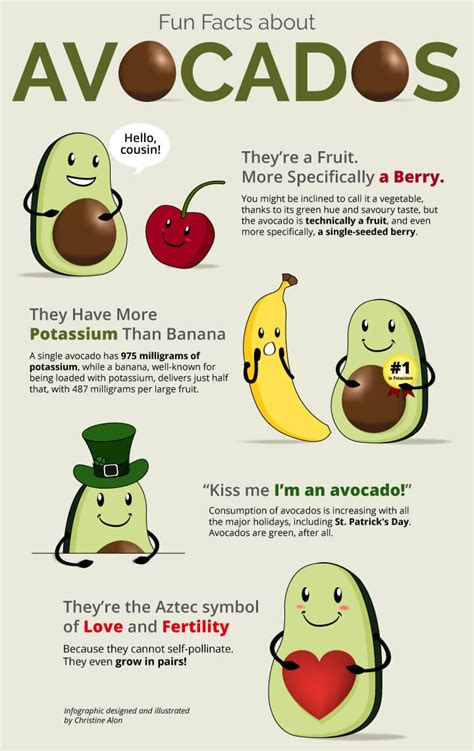 23.3% of fatal accidents were caused by people under the influence of alcohol. Fun Facts About Avocados - Web Design Kitchener Waterloo ...