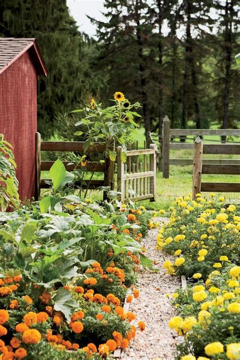 31 Country Yard Ideas That Your Garden Needs 2 Cottage Garden